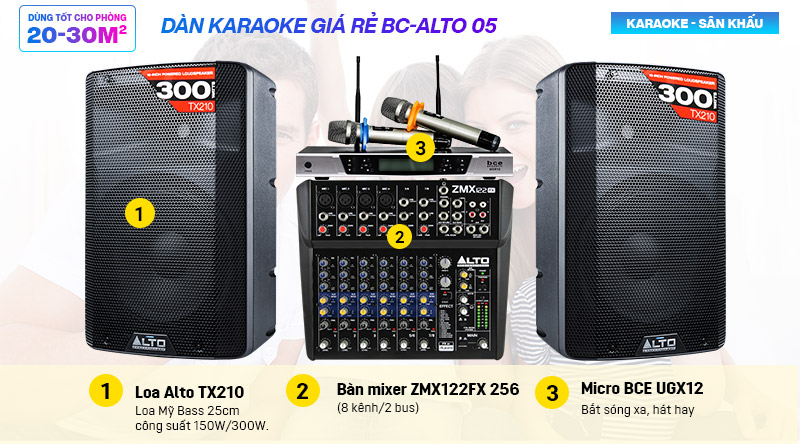 D&agrave;n karaoke gi&aacute; rẻ BC-ALTO 05