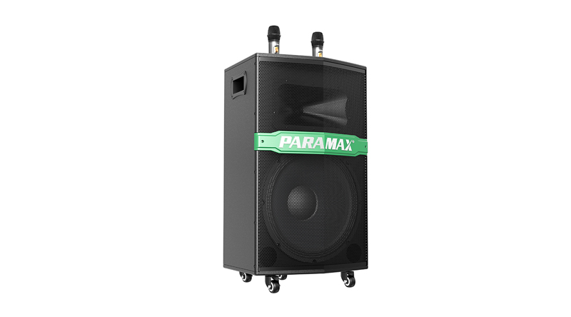 loa di động paramax hg 365