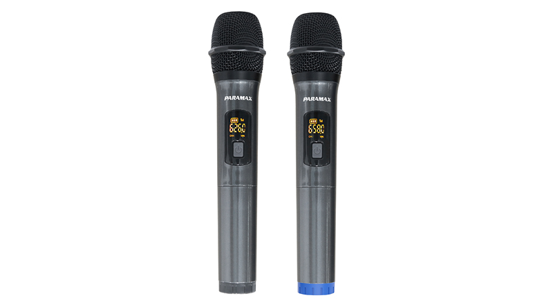 loa di động paramax hg 365