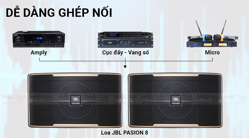 loa karaoke jbl pasion 8