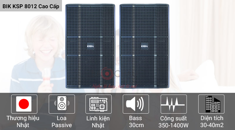 Loa karaoke BIK KSP 8012