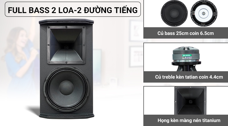 Loa karaoke Nhật BIK BSP 410II Cao Cấp