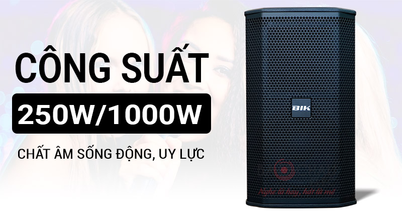 Loa karaoke Nhật BIK BSP 410II Cao Cấp