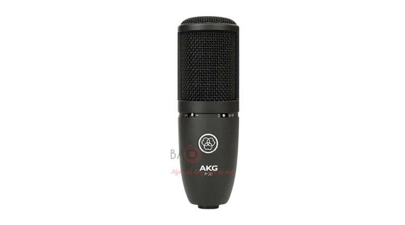 Micro AKG P120