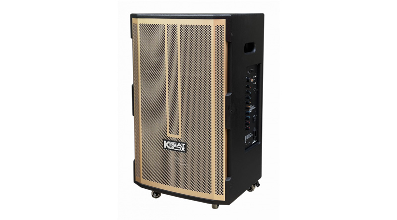 Loa k&eacute;o ACNOS CB392G