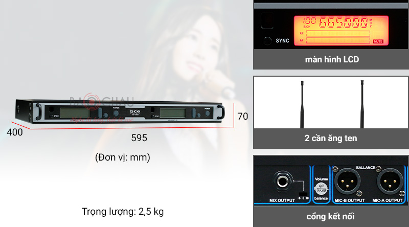 Micro kh&ocirc;ng d&acirc;y BCE Vip 6000