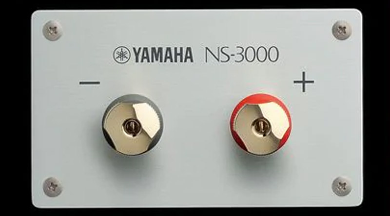Loa Yamaha NS-3000