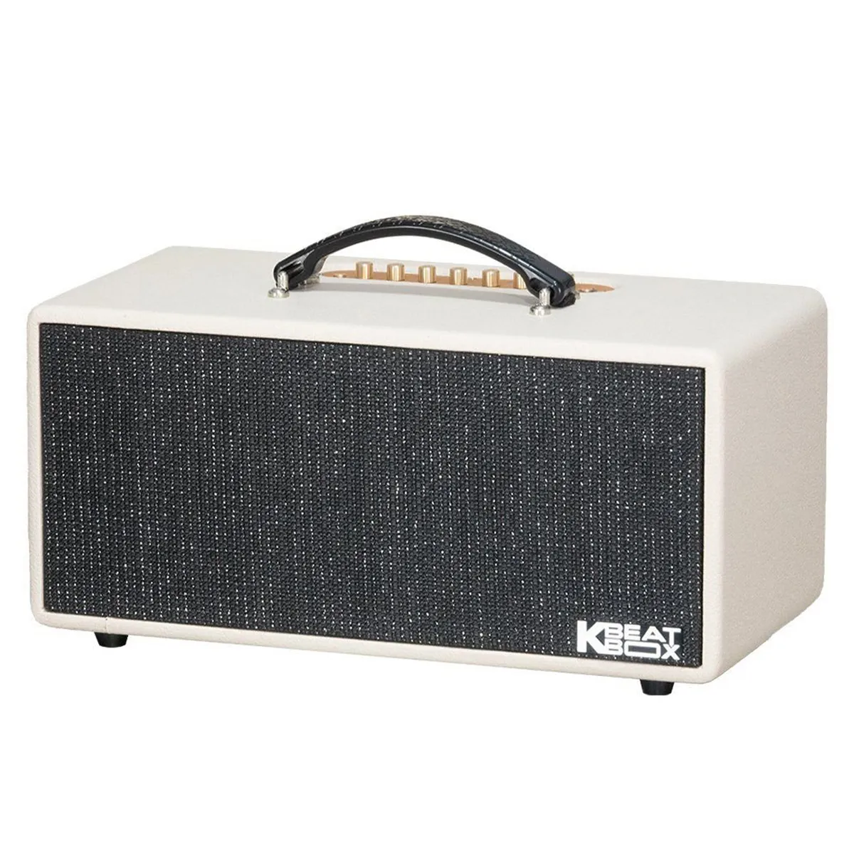 Loa Acnos KS369Plus