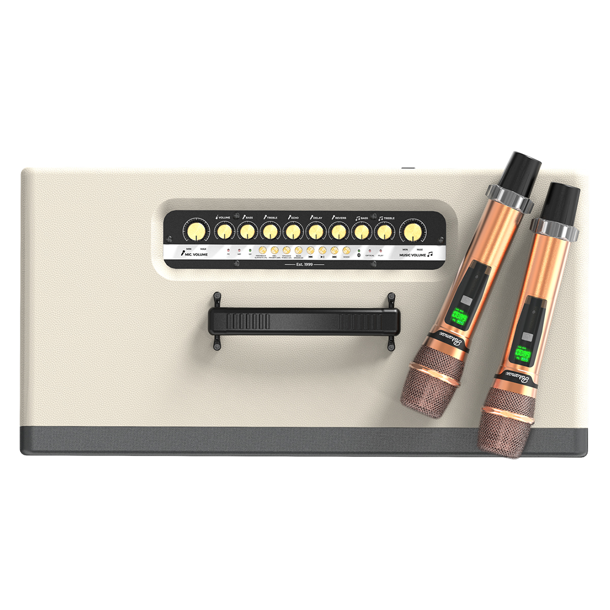 Loa xách tay Paramax Saga