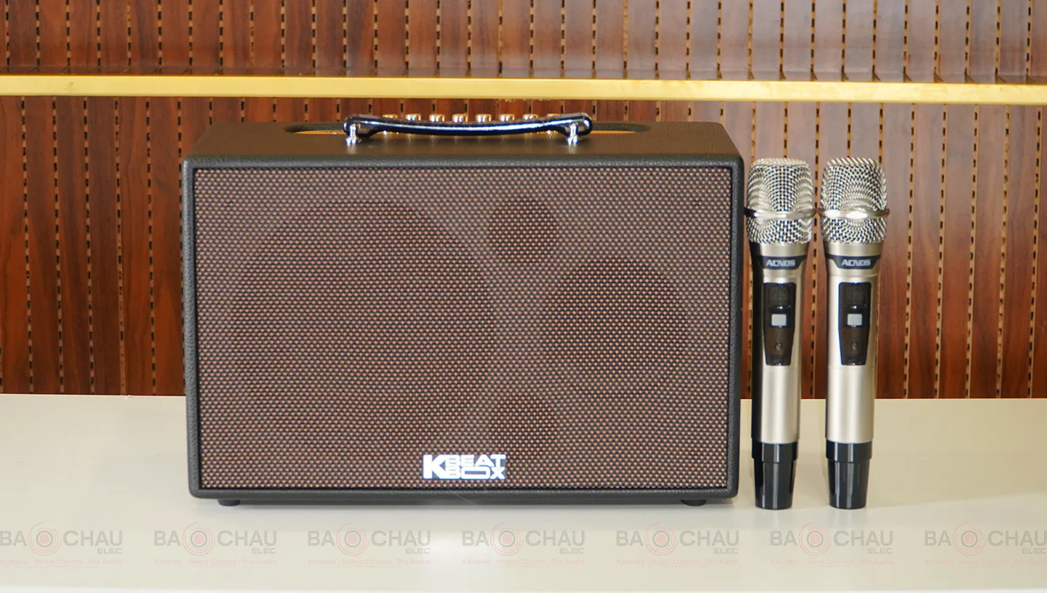 Loa Acnos CS201Plus