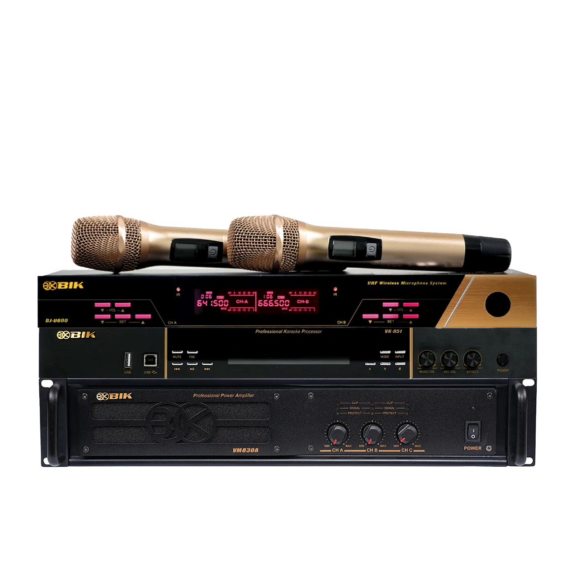 Dàn karaoke gia đình dBTechnologies 18 (dBTechnologies LVXP15, LVX PSW15, BIK VM830A, BIK VK-R51, BJ-U600) - Hình 4