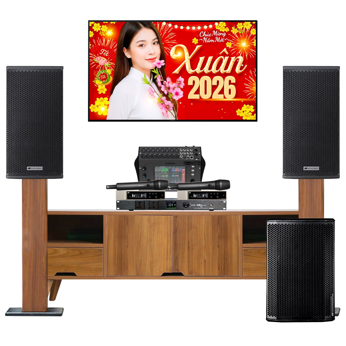 Dàn karaoke siêu cao cấp cho gia đình - biệt thự 01 (dBTechnologies Vio X10, Sub612, CQ-18T…) - Hình 2
