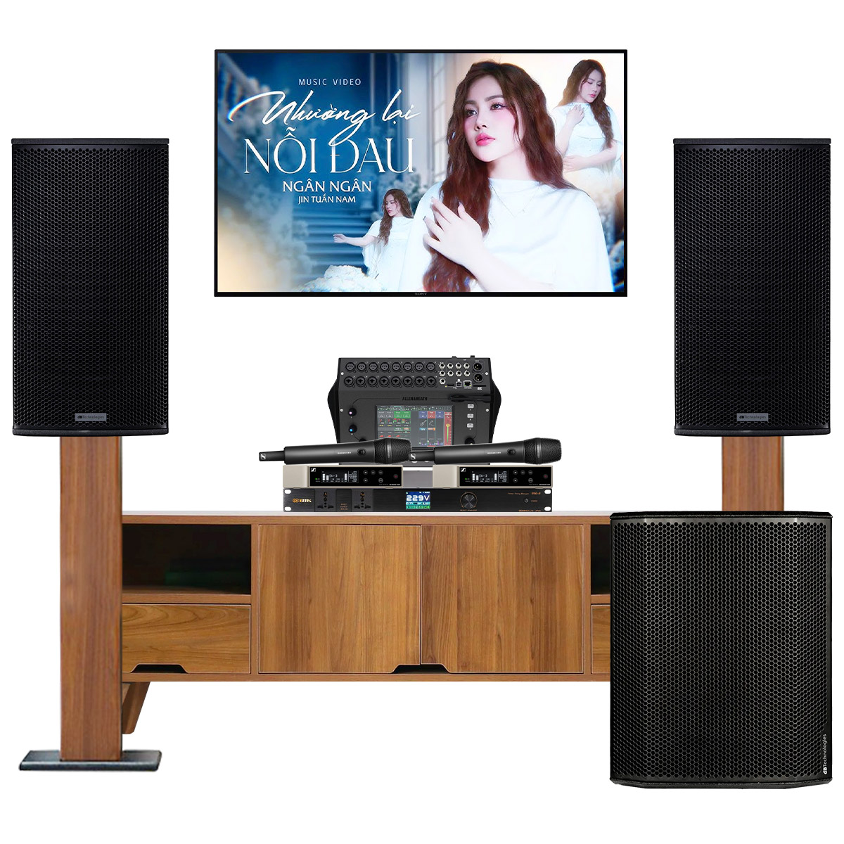 Dàn karaoke siêu cao cấp cho gia đình - biệt thự 03 (dBTechnologies Vio X15, Sub 618, CQ-18T,…) - Hình 2