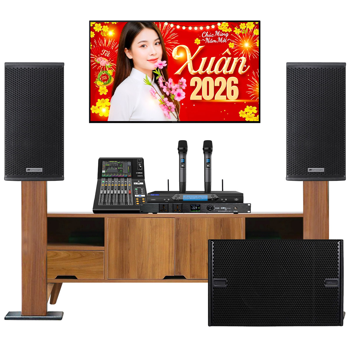 Dàn karaoke siêu cao cấp cho gia đình - biệt thự 08 (dBTechnologies Vio X12, VIO S115, Yamaha DM3, Baiervires BS9800,…) - Hình 2