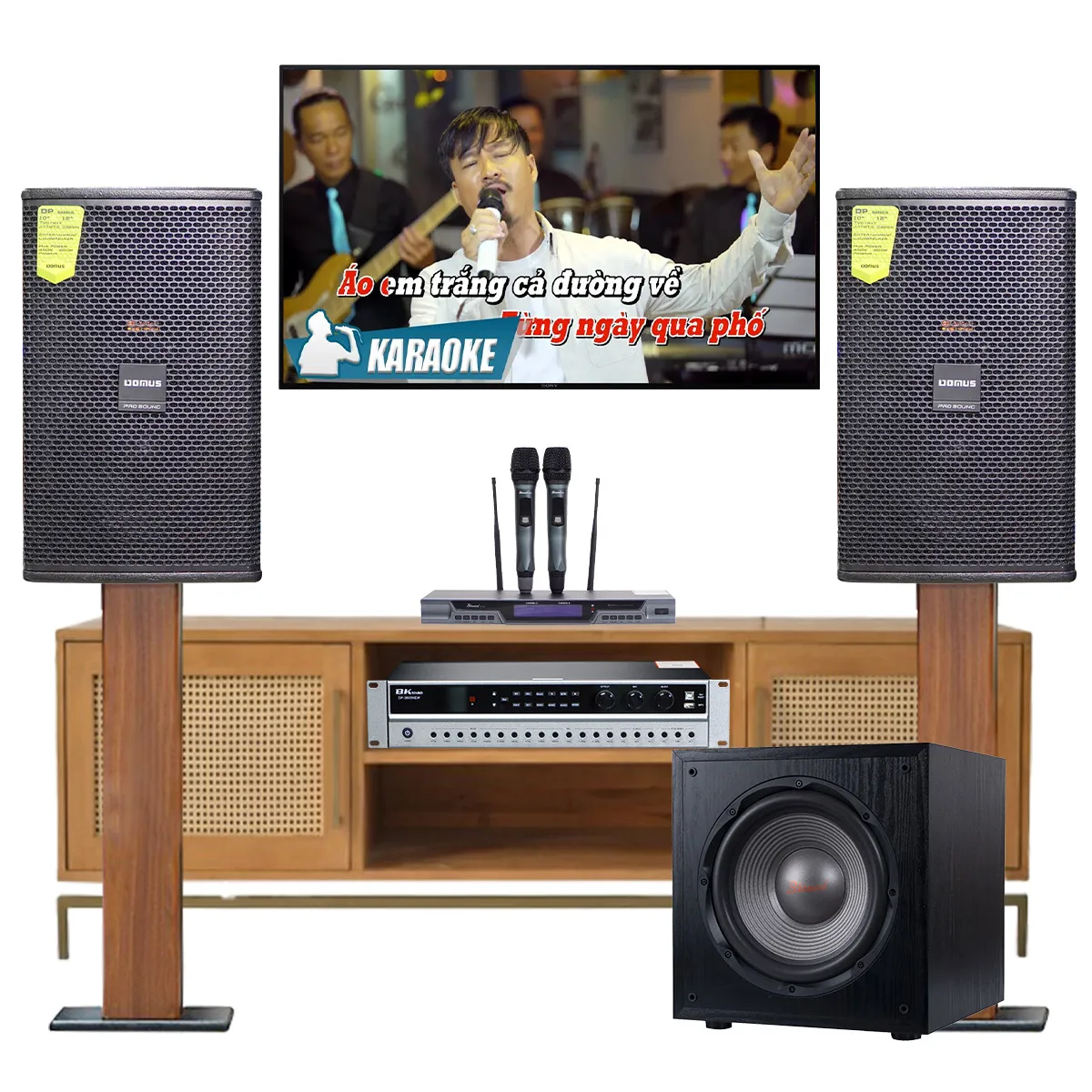 Dàn karaoke gia đình domus 22