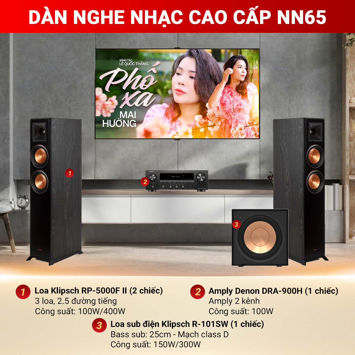 D&agrave;n nghe nhạc cao cấp NN65 