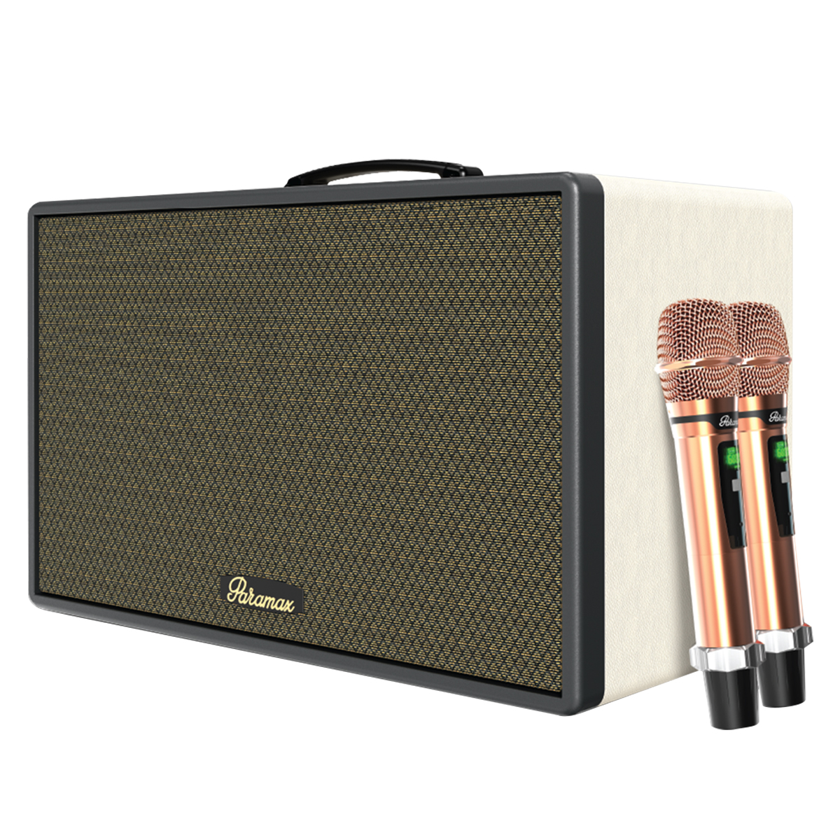 Loa xách tay Paramax Saga