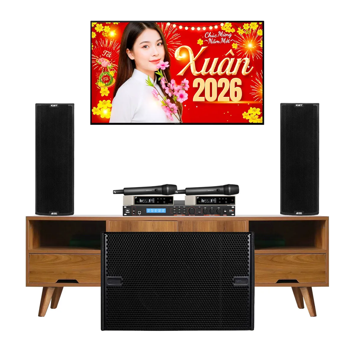 Dàn karaoke siêu cao cấp cho gia đình - biệt thự 04 (dBTechnologies Ingenia IG2T, JBL VX9, VIO S115...) - Hình 2