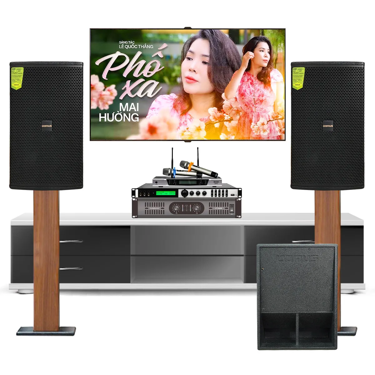 Dàn karaoke gia đình Domus 15