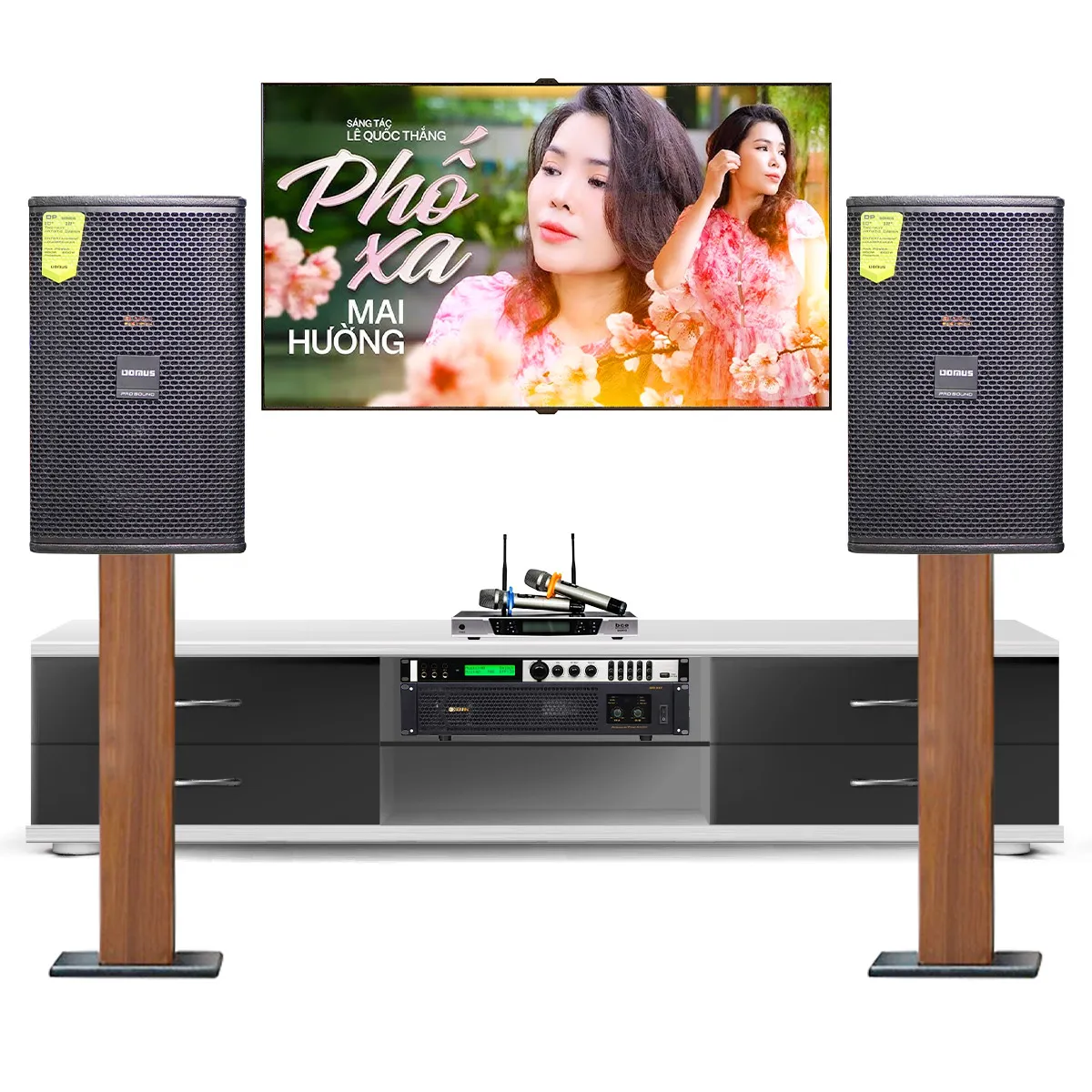 Dàn karaoke gia đình Domus 17