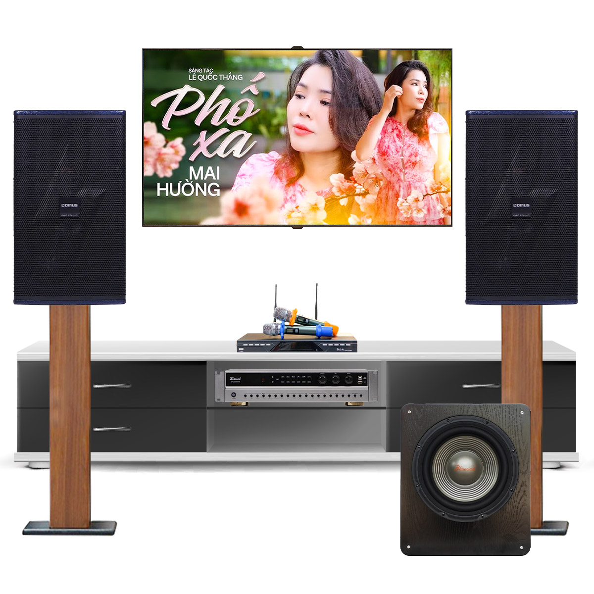 Dàn karaoke gia đình Domus 18 (Domus DP6212 MAX, BKSound DP3600 New, BKSound SW612 MK II, BCE U900 Plus X)