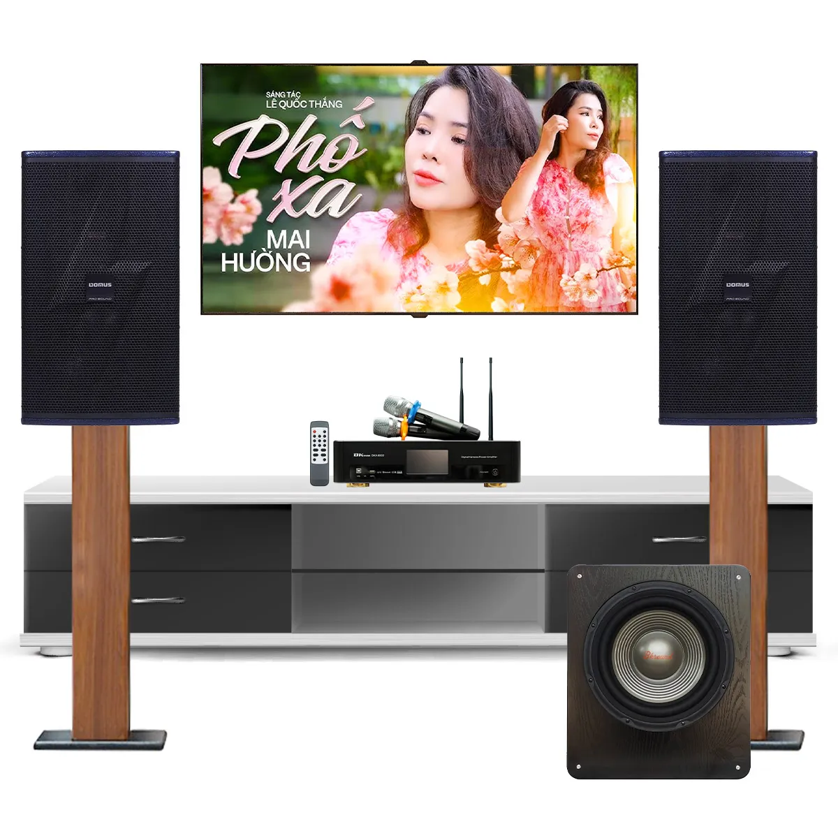 Dàn karaoke gia đình Domus 23