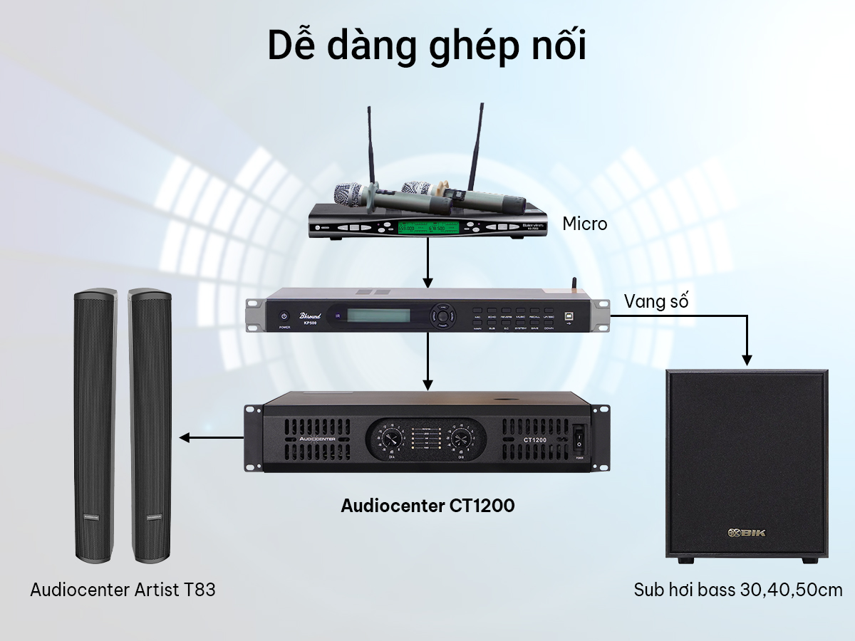 Cục đẩy 2 K&ecirc;nh Audiocenter CT1200