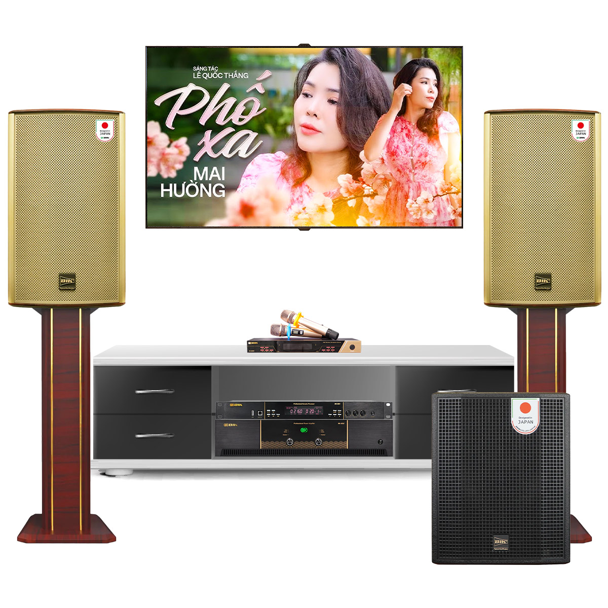 Dàn karaoke đồng bộ BIK New 08 (BIK BK-G12, BIK VK-A52, BIK VK-R51, BIK BBK-W55A, BIK BJ-U600)