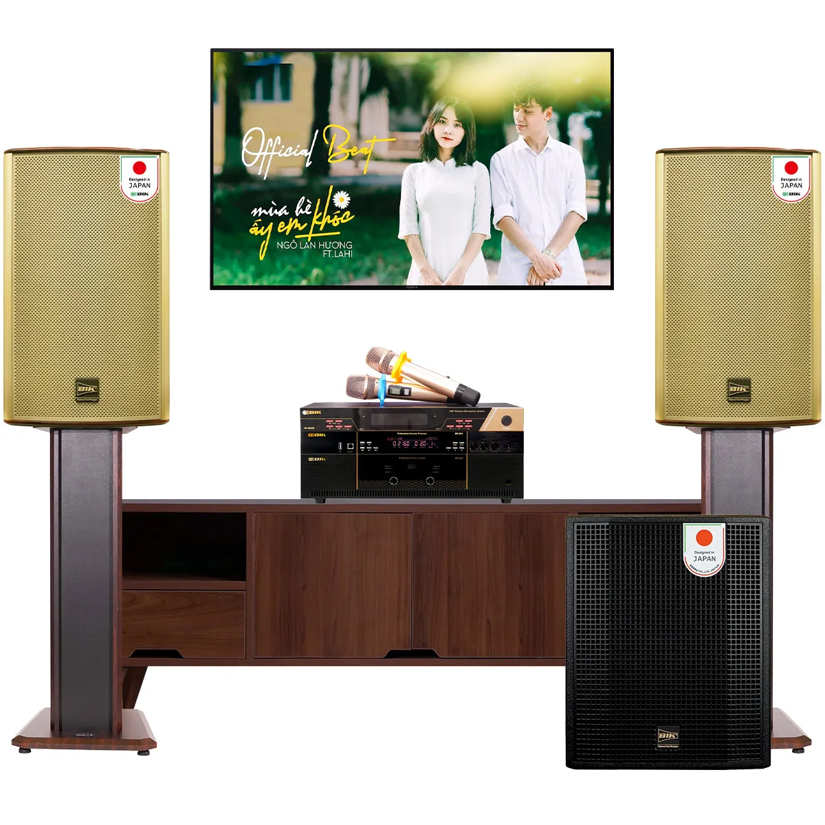 Dàn karaoke đồng bộ BIK New 08