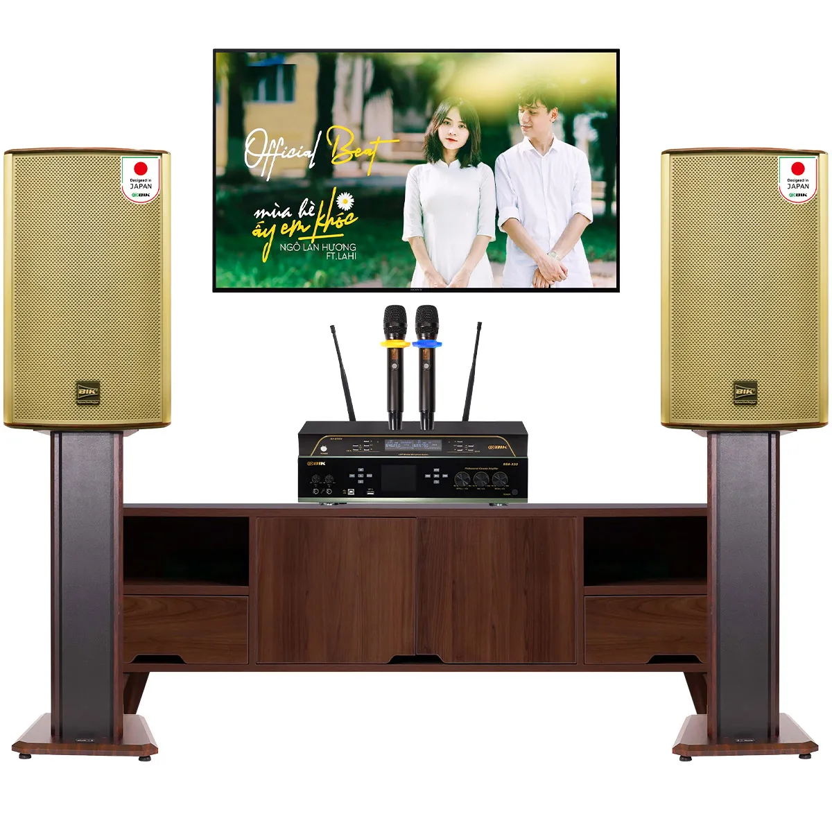 Dàn karaoke đồng bộ BIK New 10