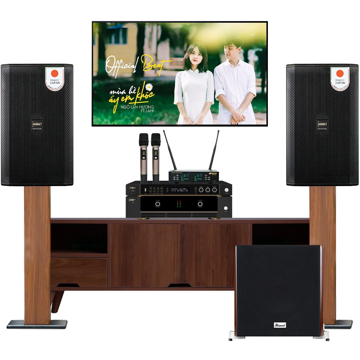 Dàn karaoke gia đình BIK 05
