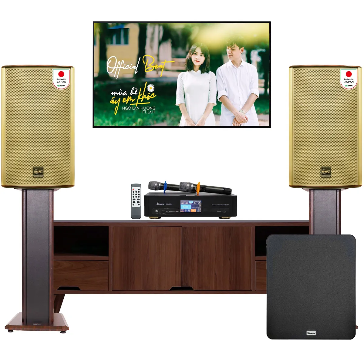 Dàn karaoke gia đình BIK 40 (BIK BK-G12, Bksound DKA 8500, Bksound SW612 MKII) - Hình 6
