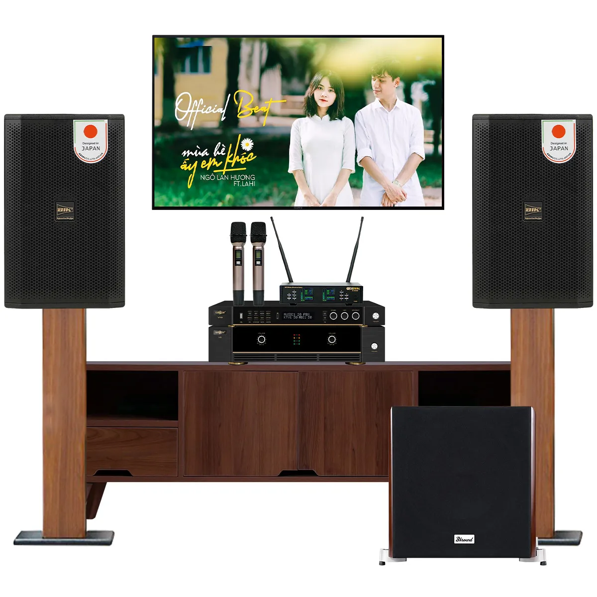 Dàn karaoke gia đình BIK 49