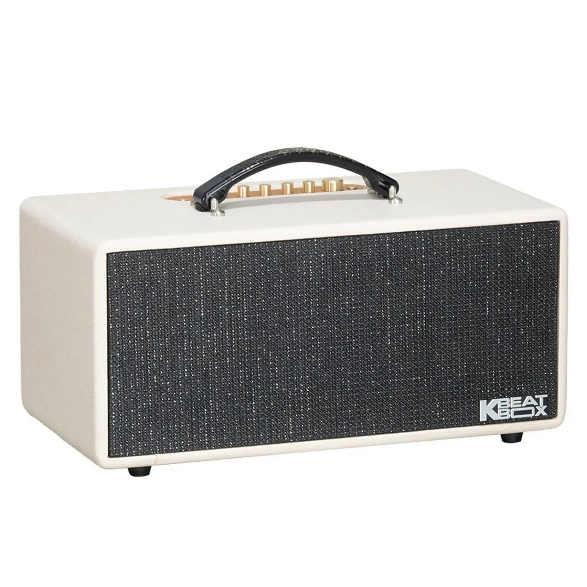 Loa Acnos KS369Plus