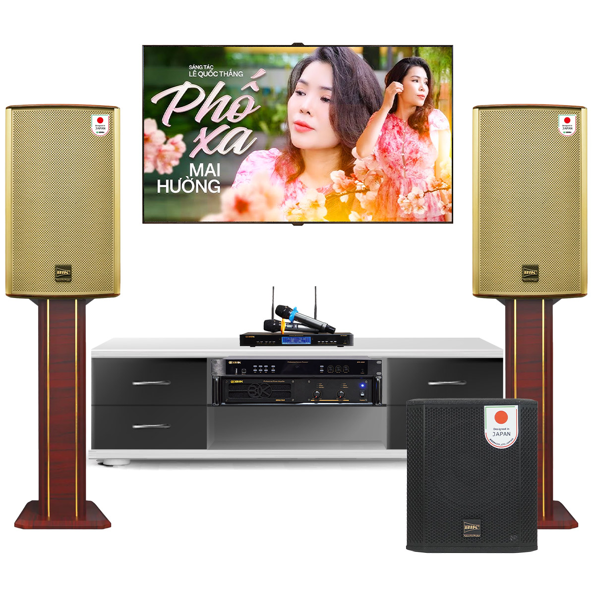 Dàn karaoke đồng bộ BIK New 09 (BIK BK-G12, BIK VM 620A, BIK BPR-5800, BIK BBK-W25A, BIK BJ-U500II) - Hình 1