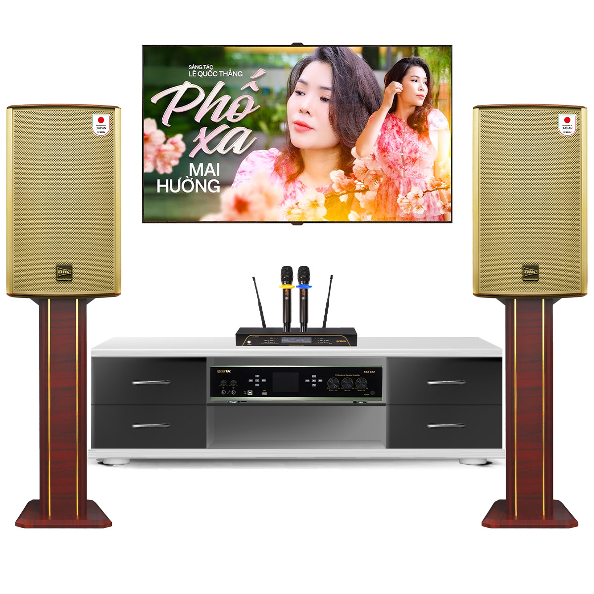 Dàn karaoke đồng bộ BIK New 10 (BIK BK-G12, BIK BDA-X33, BIK BJ-U200) - Hình 1