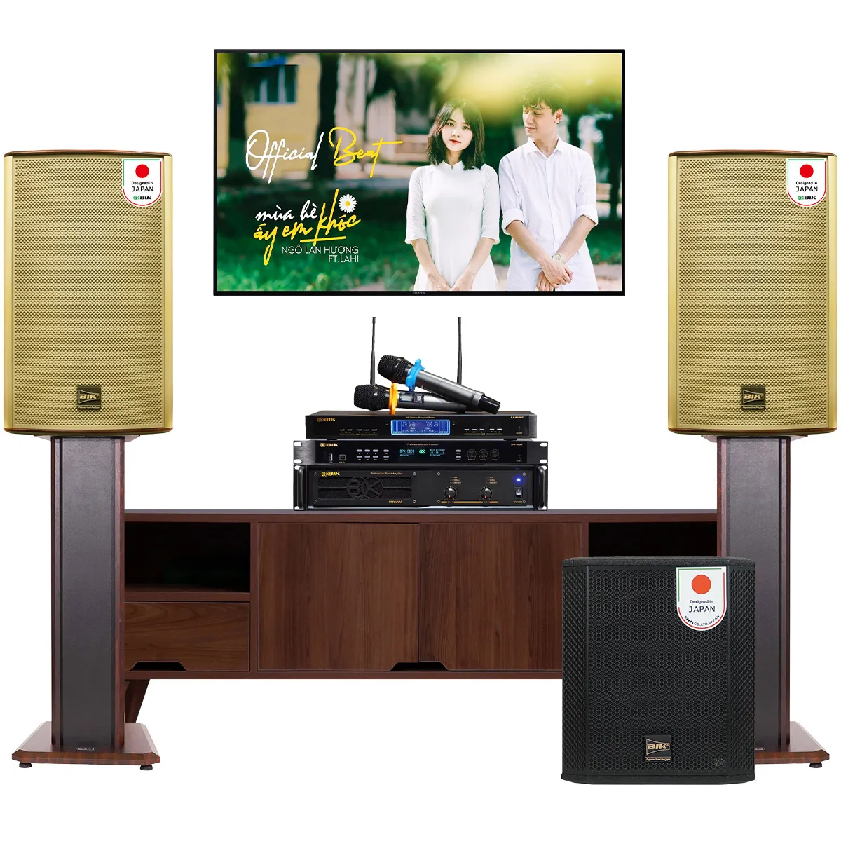 Dàn karaoke đồng bộ BIK New 09