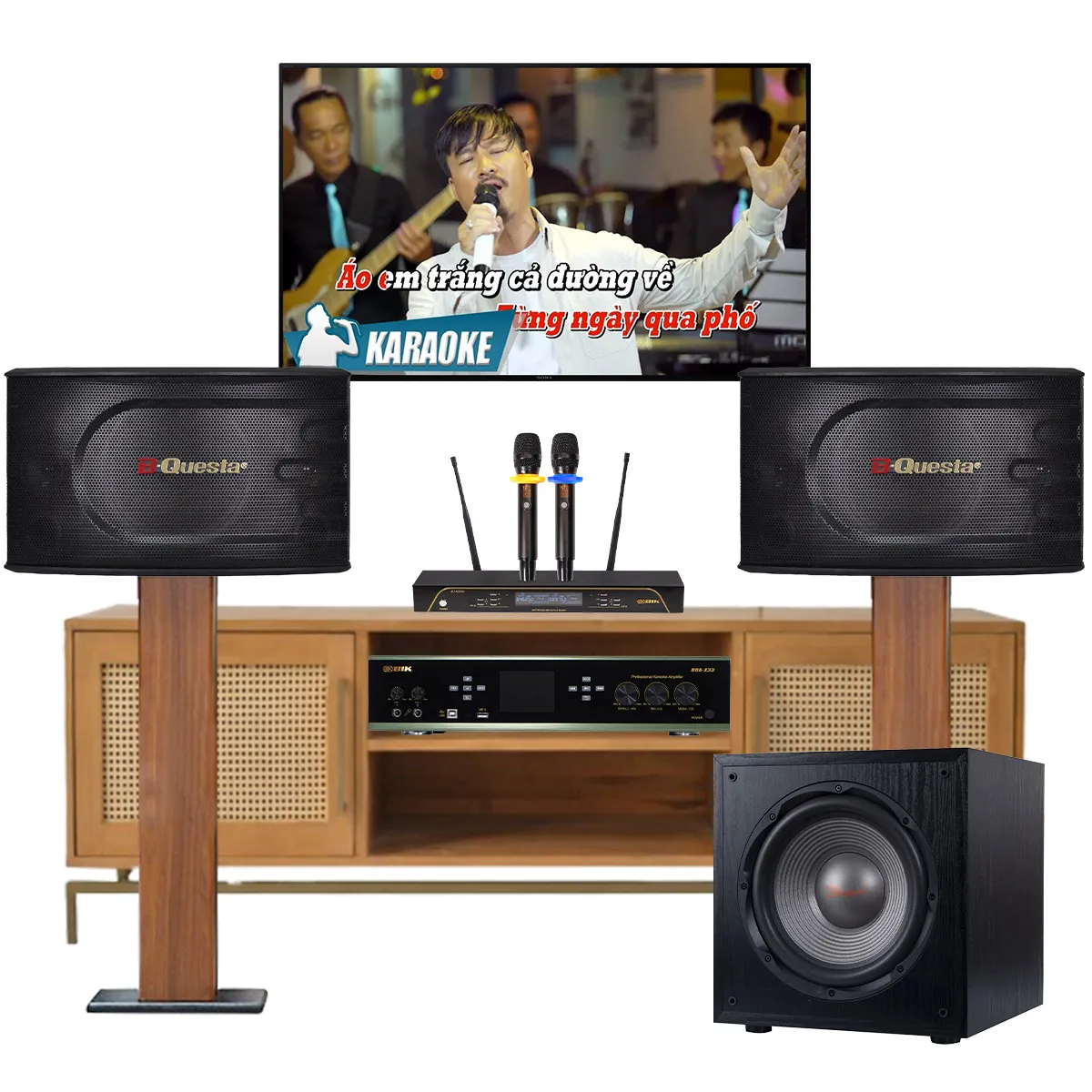 Dàn karaoke gia đình BIK 21 (BIK BK-C25, BIK BDA-X33, BKSound SW212, BIK BJ-U200) - Hình 1