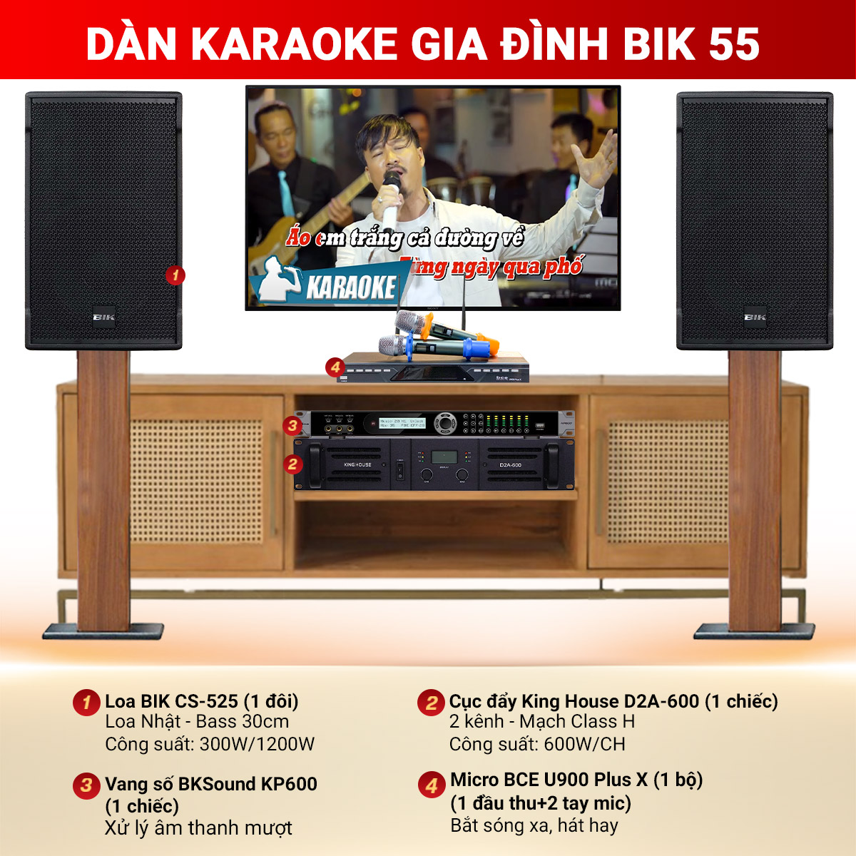 D&agrave;n karaoke gia đ&igrave;nh BIK 55
