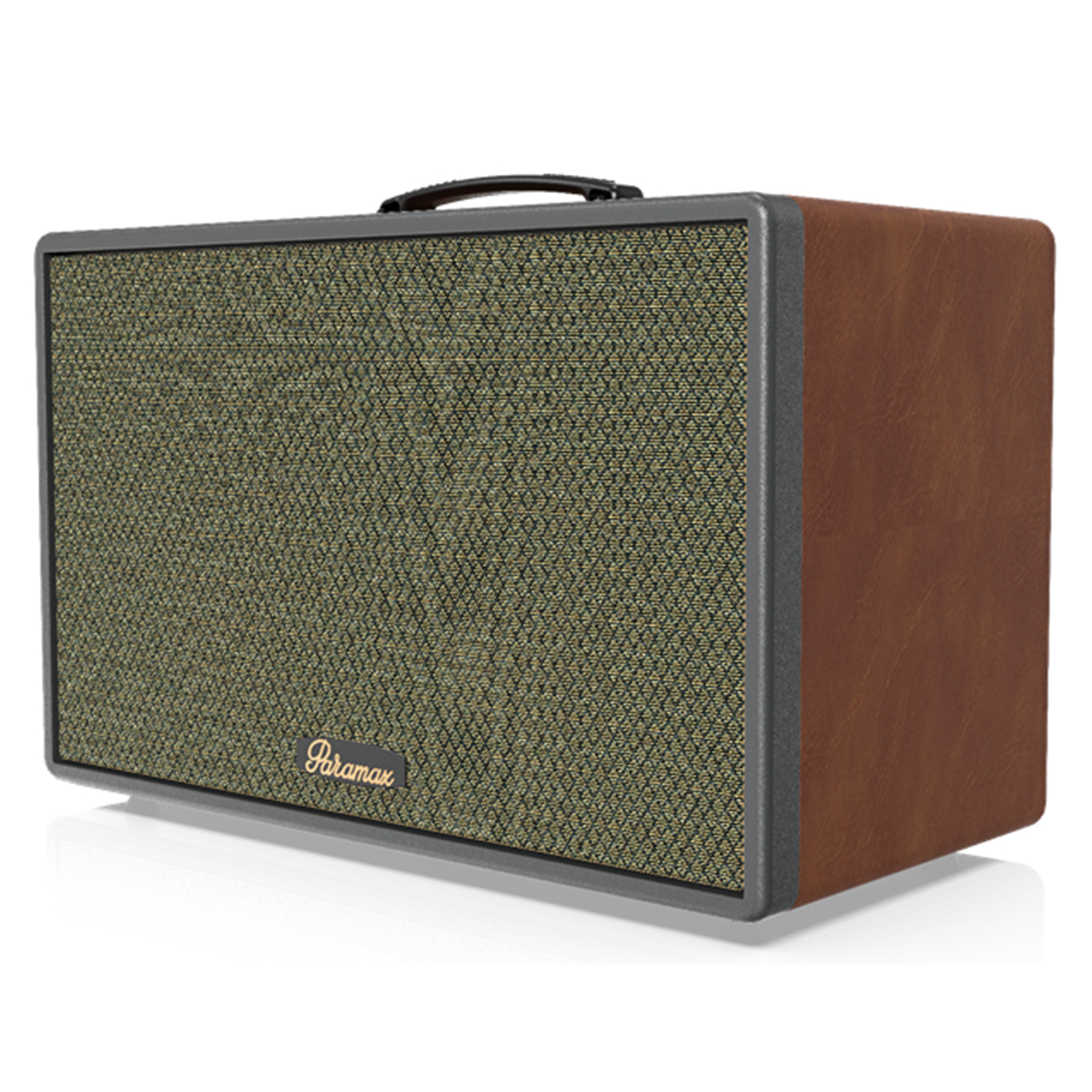 Loa xách tay Paramax Saga