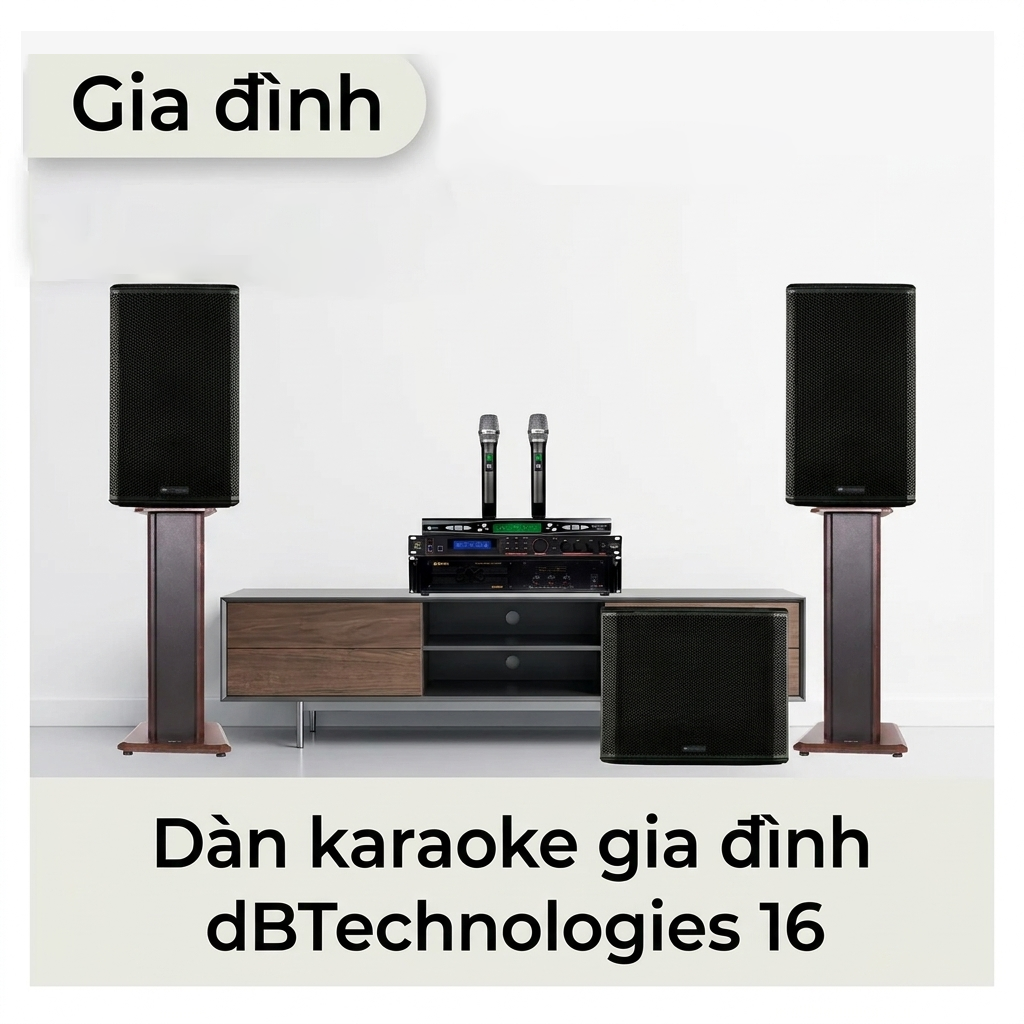 Dàn karaoke gia đình dBTechnologies 16 (dBTechnologies LVXP12, LVX PSW15, BIK VM 830A, JBL VX9,...) 