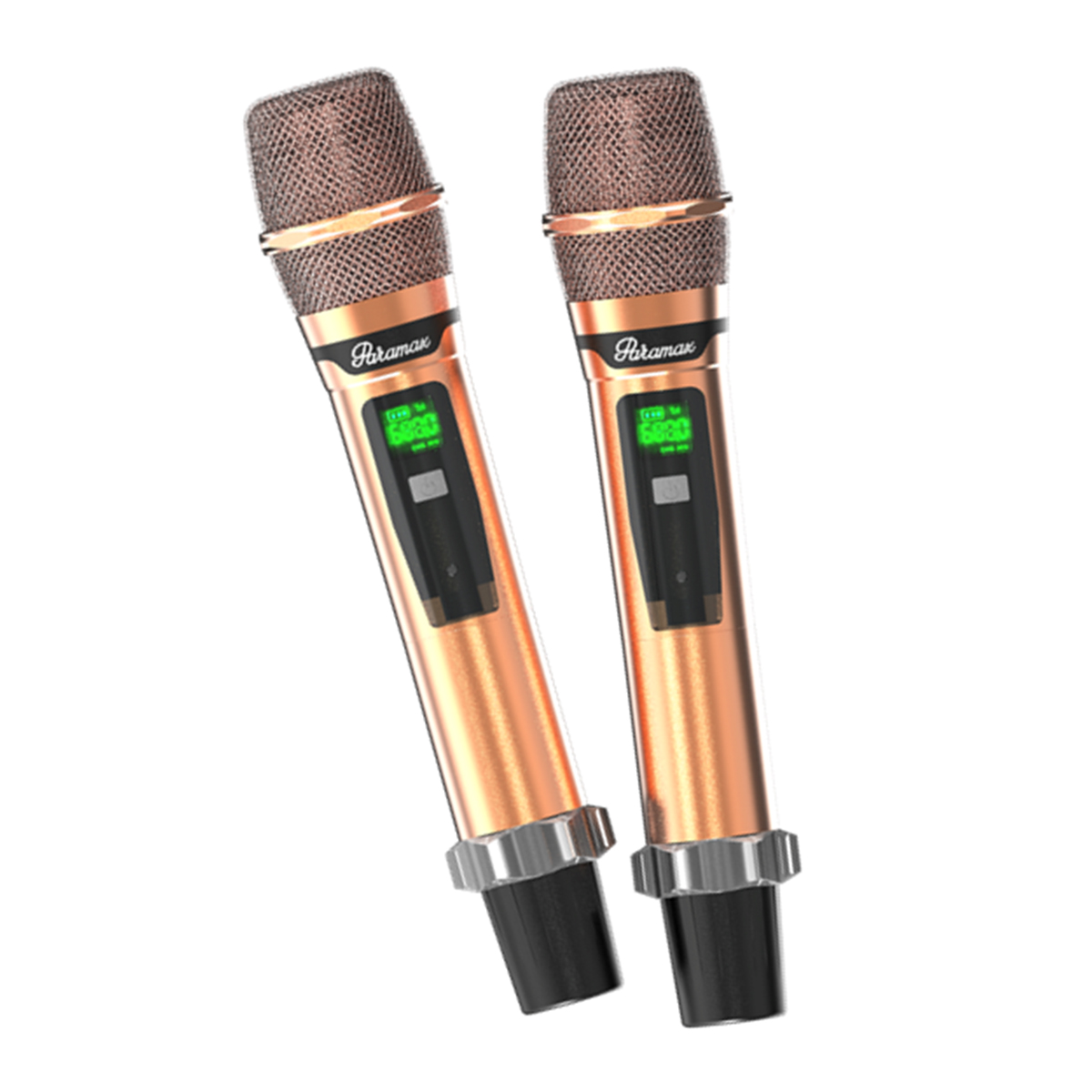 Loa xách tay Paramax Saga