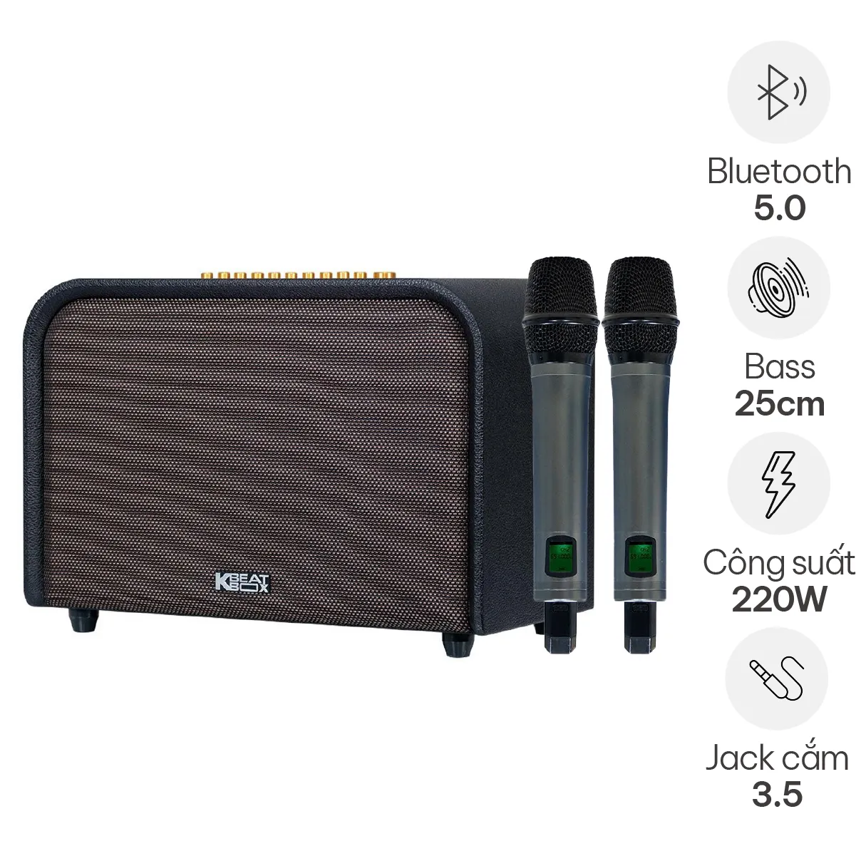 Loa Karaoke Di Động Acnos Acoustic 3