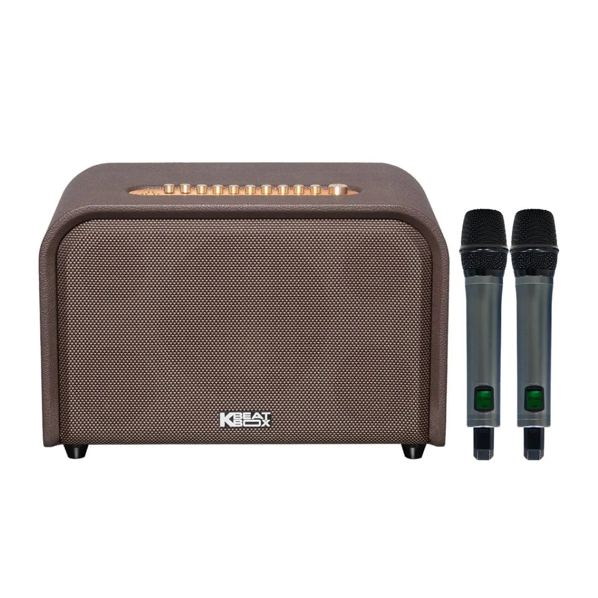 Loa Acnos Acoustic 3 Compact