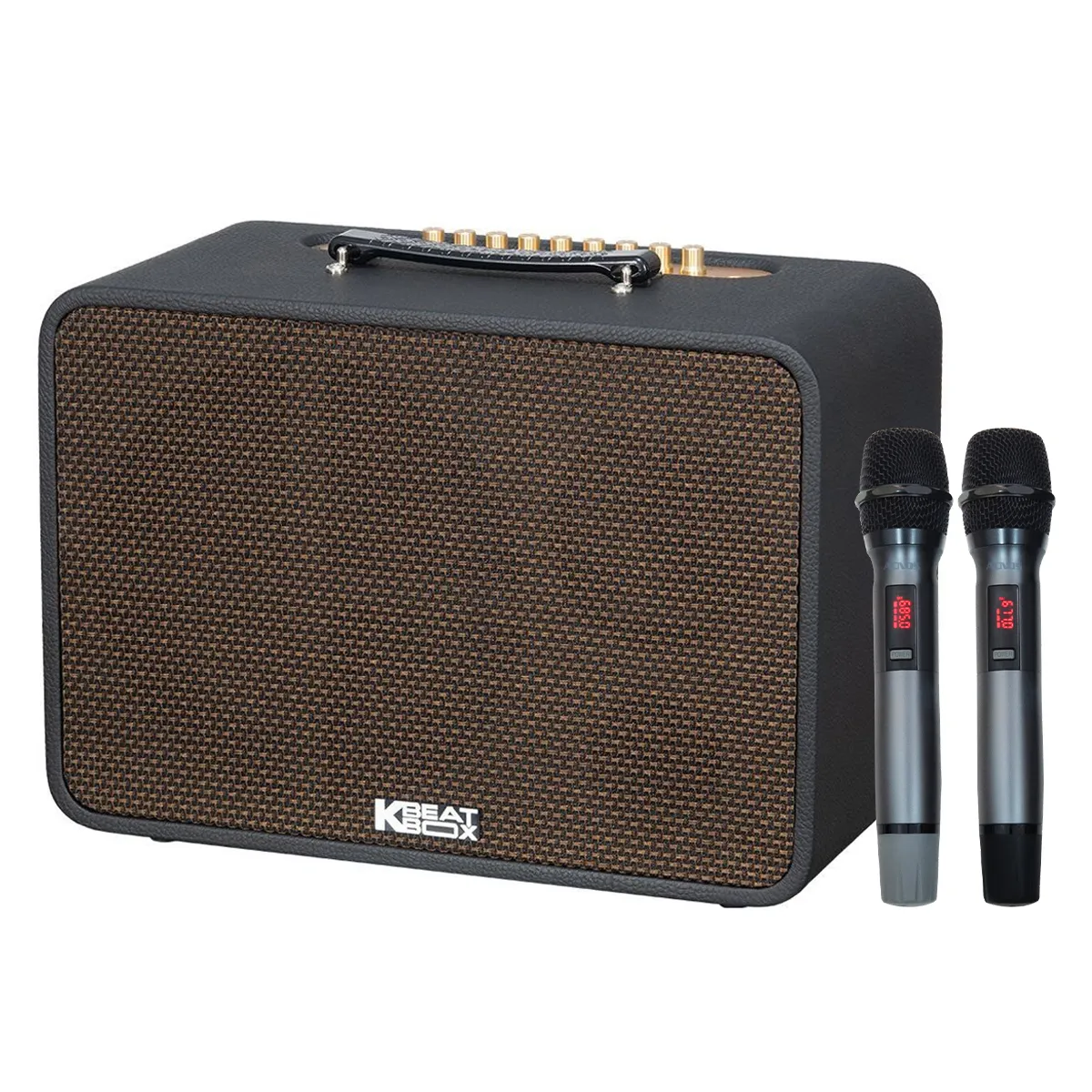 Loa Acnos CS250Pro
