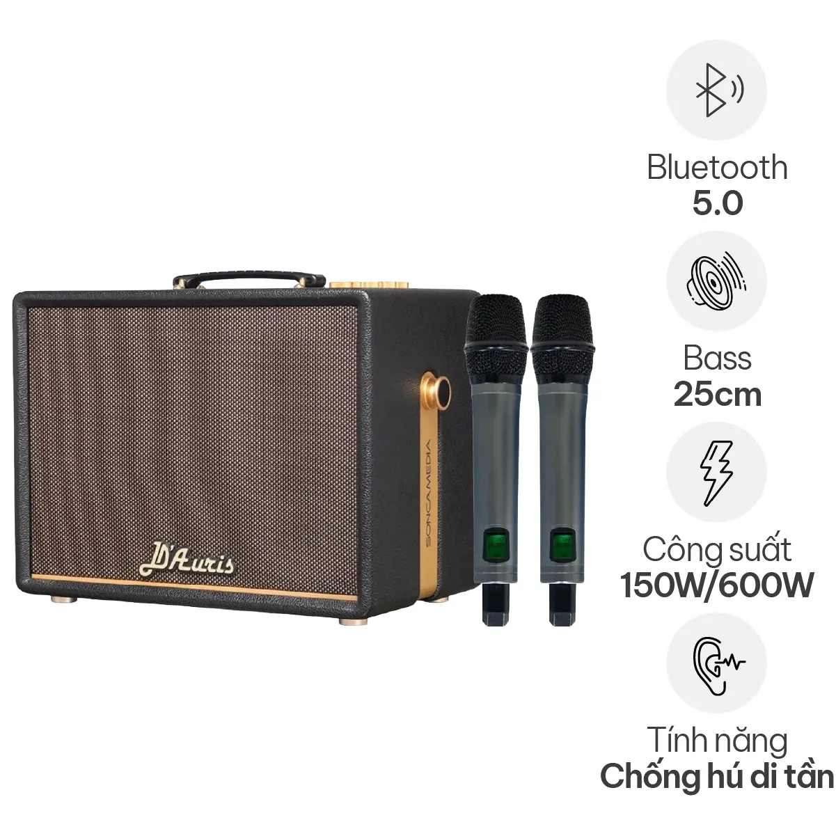 Loa Acnos D'Auris 200(Bass 25cm, 150W RMS, Kèm 2 micro)