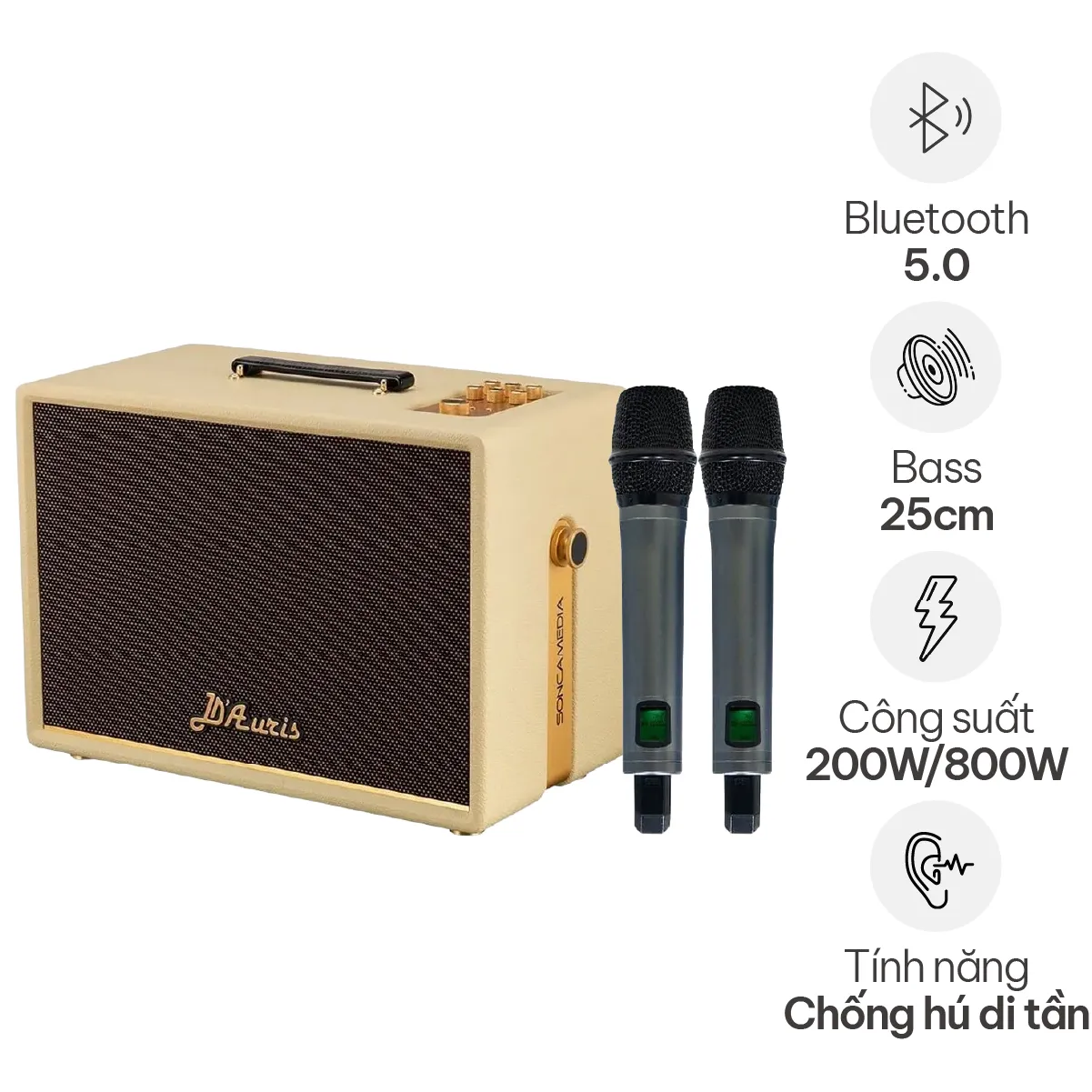 Loa Acnos D’Auris 300 (Bass 25cm, 200W/800W, Kèm 2 micro) - Hình 2