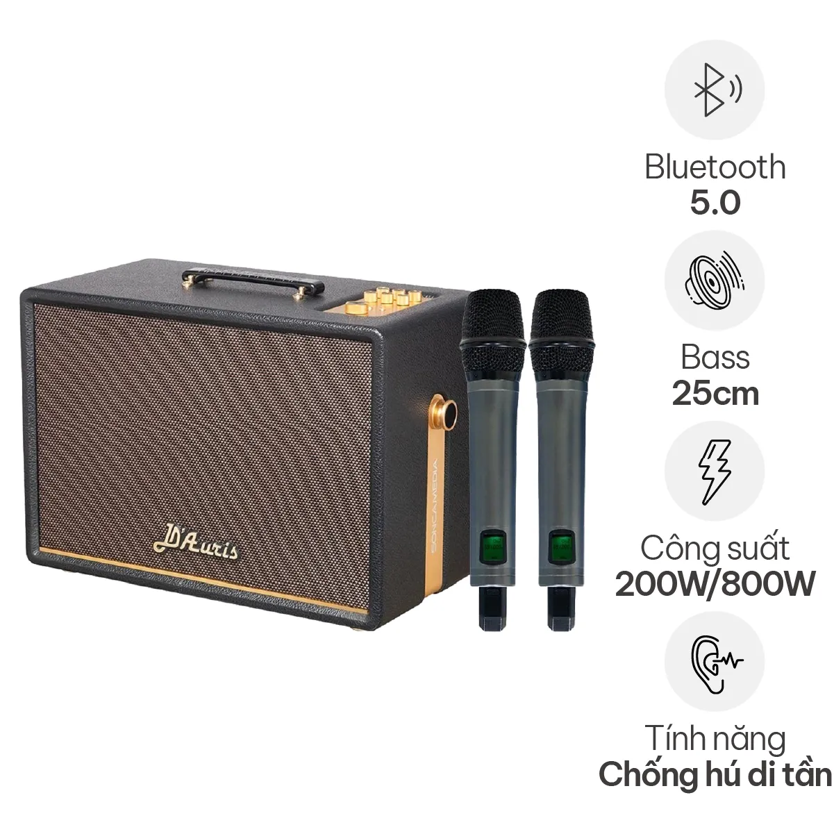 Loa Acnos D’Auris 300 (Bass 25cm, 200W/800W, Kèm 2 micro)
