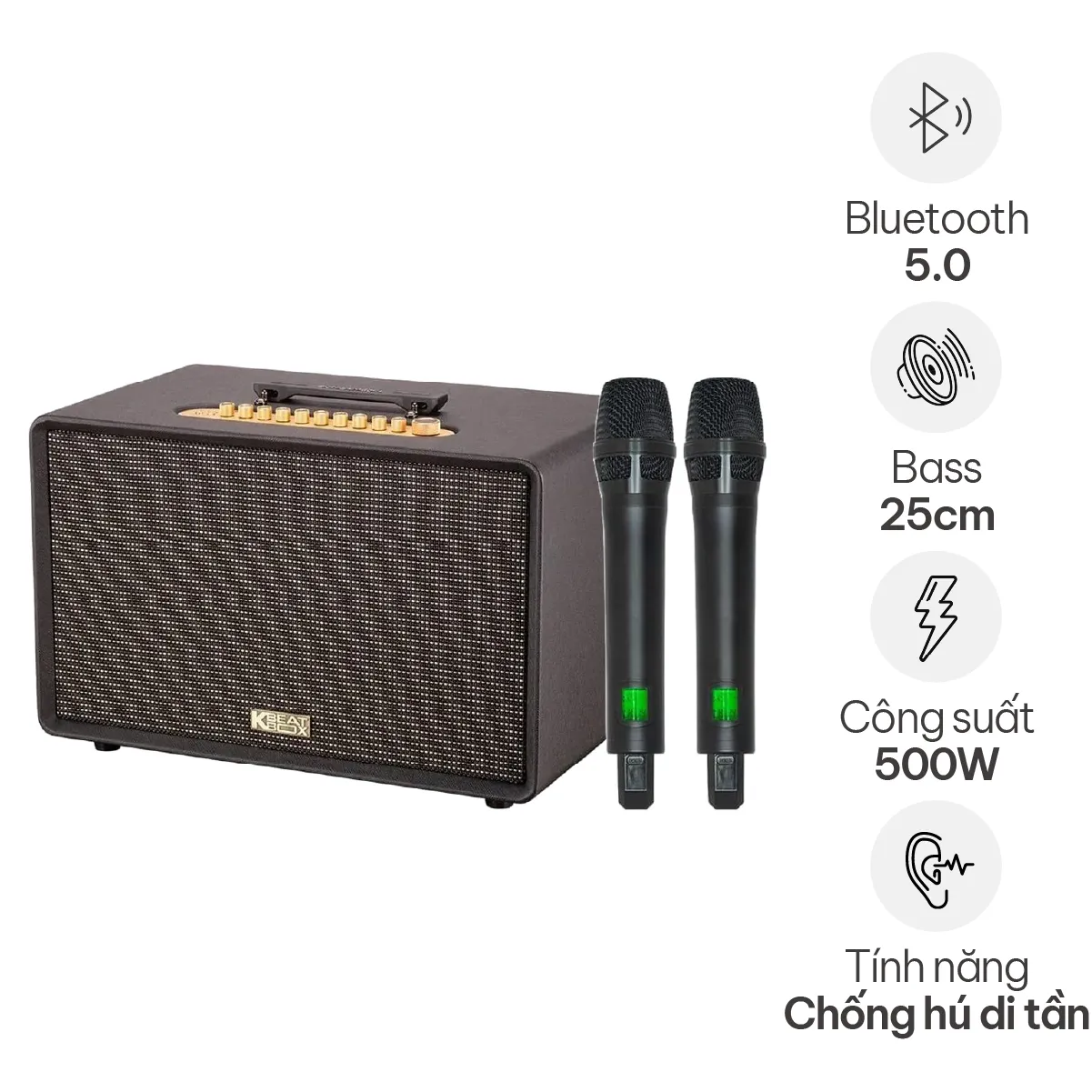 Loa Acnos FLAC 39 (500W, Bluetooth 5.0, Kèm 2 tay micro)