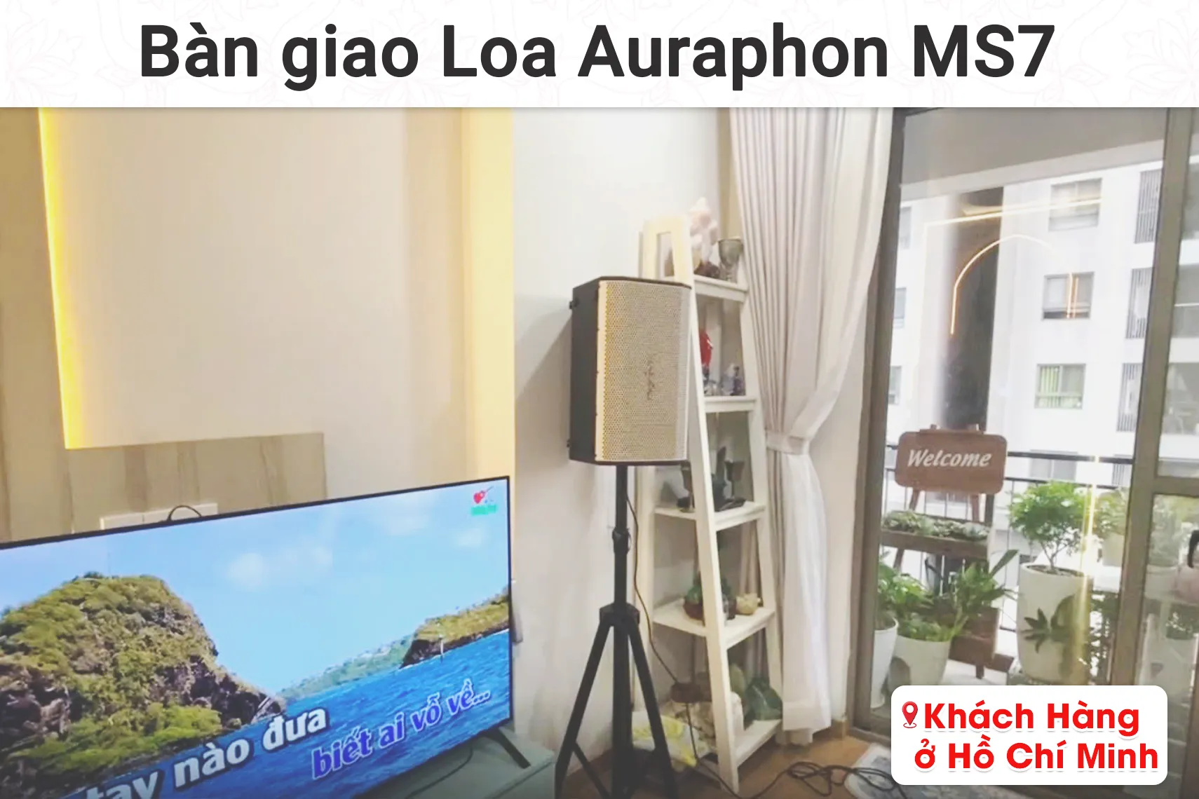 Bàn giao loa Auraphon MS7 cho khách hàng tại TP HCM